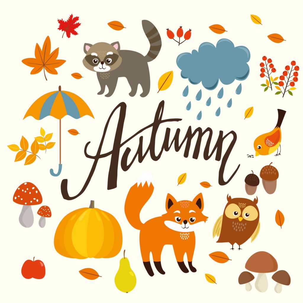 herfst-autumn